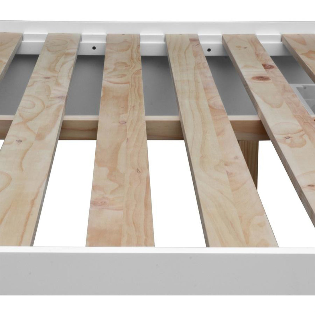 Harley Bed